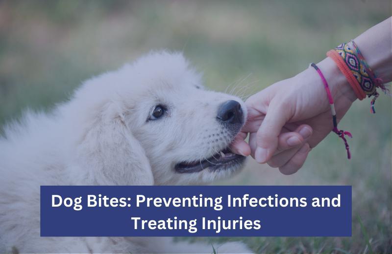 Dog Bites - Preventing Infections and Treating Injuries