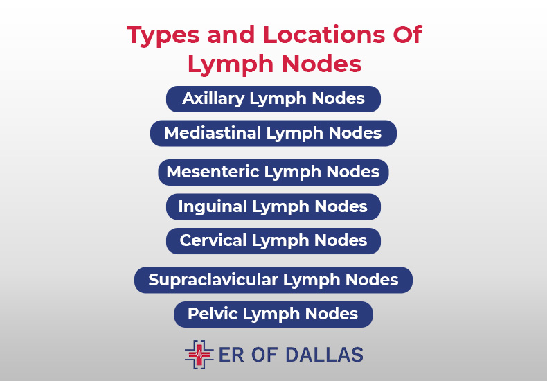 Types and Locations Of Lymph Nodes - ER of Dallas