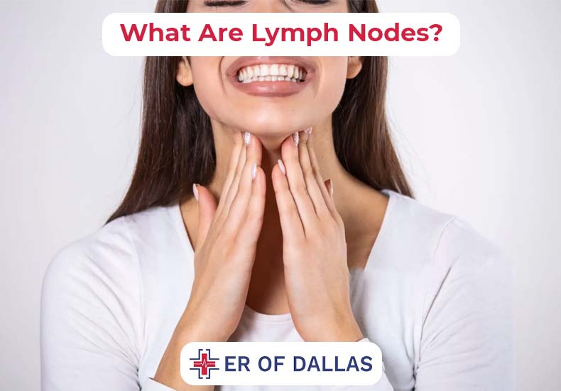 What Are Lymph Nodes - ER of Dallas