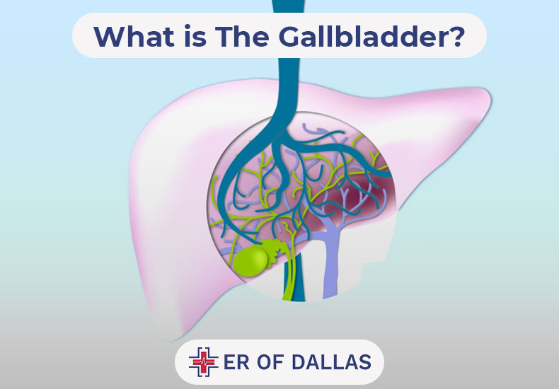 What is The Gallbladder - ER of Dallas