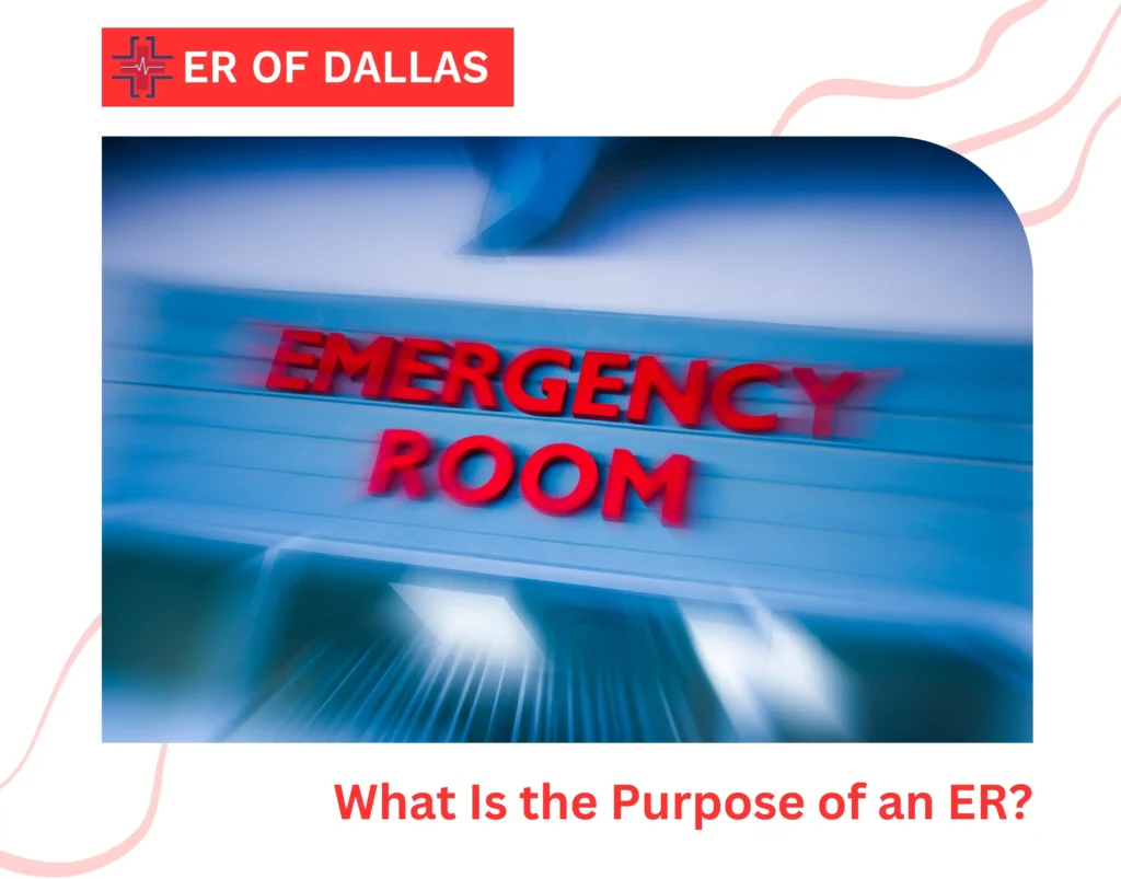 What Is the Purpose of an ER