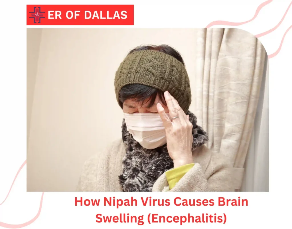 How Nipah Virus Causes Brain Swelling (Encephalitis)